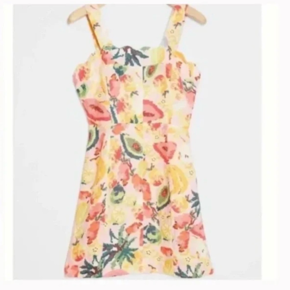 Farm Rio Frutas Fruit Peasant Hipster Hippie Modern Chic Art Boho Classy Dress